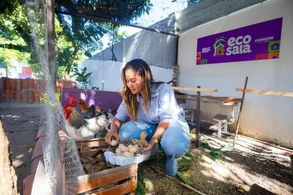 Projeto EcoSala transforma horta escolar em laboratório de aprendizagem